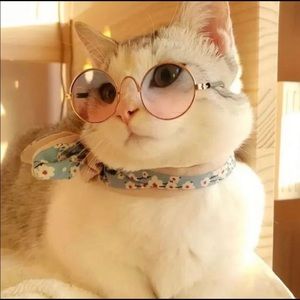 Offer & Bundle Discounts 🤩